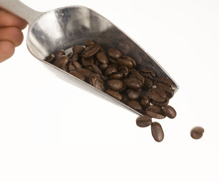 Coffee Beans Pouring From Silver Shovel Dispenser