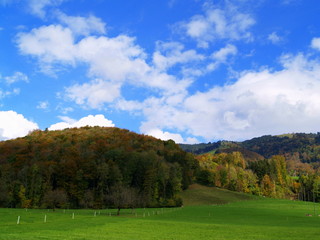 Fototapeta na wymiar vallée alpine en automne