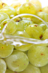 close-up of grapes in water as a healthy food concept