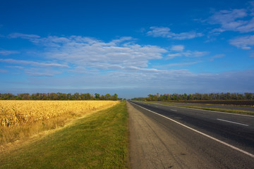 Fototapeta na wymiar empty highway at the autumn day