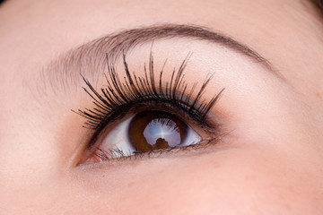 Fototapeta na wymiar bliska obraz brązowego oczach kobieta