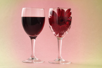 glass of red wine and gerbera flower