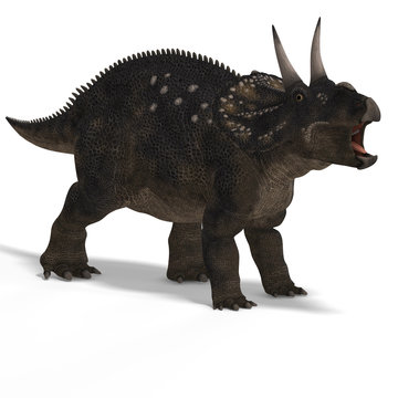 Dinosaur Diceratops With Clipping Path over white