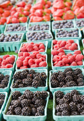 Baskets of Berries