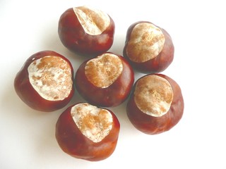 Chestnuts