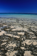 clear blue sea of coral bay, Australia