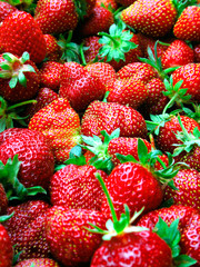 lot of red strawberry like background