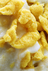 Gnocchetti alla sondriese - Primo - Ricette della Lombardia