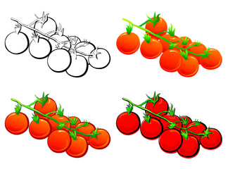 Cherry Tomato