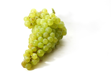 green grape isolated on white background