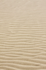Fototapeta na wymiar piasek w tle