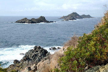îles sanguinaires (près d'Ajaccio - Corse - France)