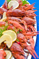 Food series: fresh boiled crawfish with beer
