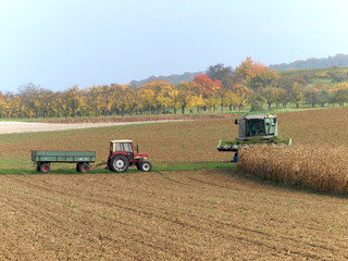 Fototapeta premium Traktor und Mähdrescher bei der Ernte