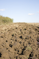 Brown soil ploughed field in autumn
