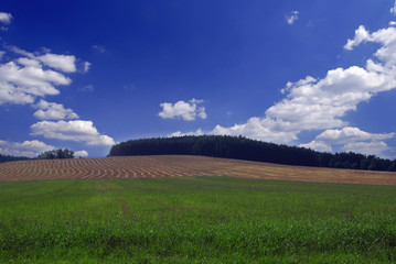 Nice country landscape with field and blue sky full of clouds