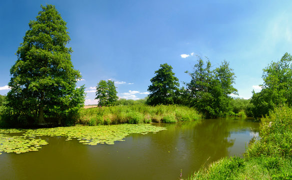 Rural summer landscape with river and green trees - panorama