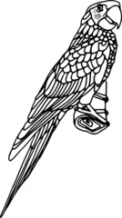 vector - contour ara isolated on white background © Pavel Bortel