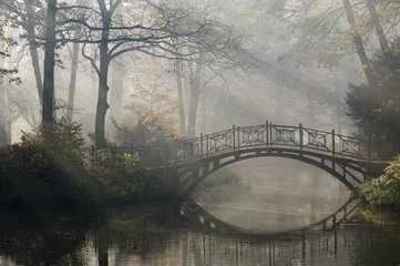 Foto op Canvas Oude brug in mistig herfstpark © Gorilla