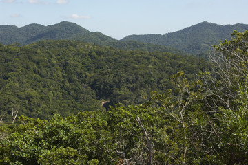 Fototapeta na wymiar Hügel im Atlantischer Regenwald