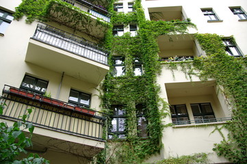 Façade recouverte de lierre avec balcons; Berlin, Allemagne.