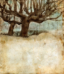 Willow trees on a grunge background. Copy-space