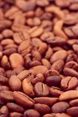 Vertical coffee background, macro of seeds