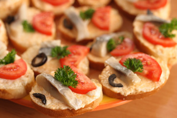 On a photo fish sandwiches on plate