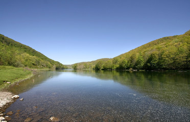 Allegheny National Forest © SNEHIT PHOTO