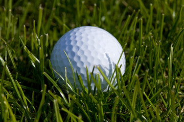 Golf Ball close up shot