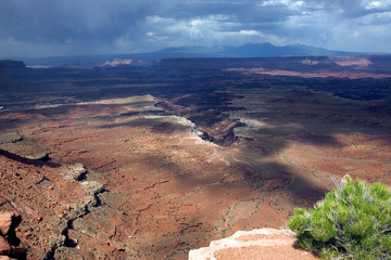 Blick in den Canyonlands National Park