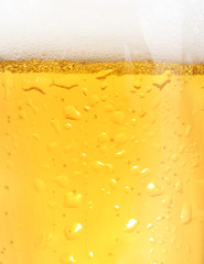 Close up of backlit glass of beer