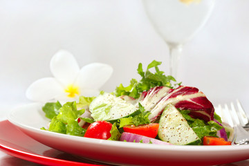 Healthy Salad With Cherry Tomatoes, Cucumber and Red Onion
