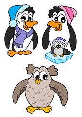 Cute bird collection