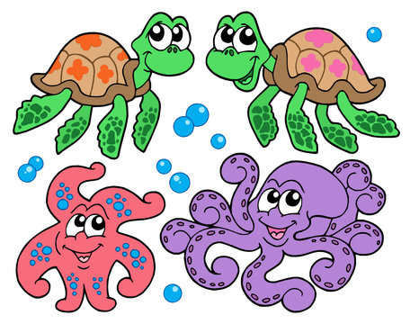 Various cute sea animals collection
