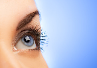 Human eye on blue background (shallow DoF)