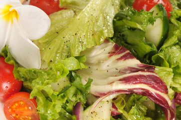 Close-up of green salad with flower