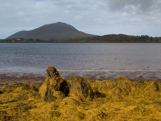 Lac ou fjord à marée basse, irlande