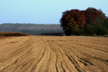 semina