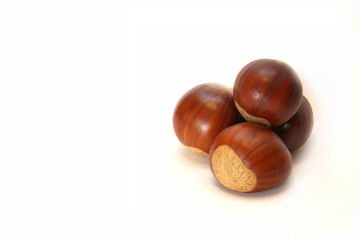 Quelques châtaignes...