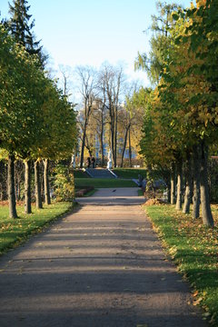Tsarskoe Selo Park - Catherine Palace Park