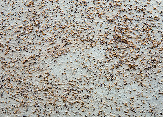 Texture of a surface of marble crumb on a wall