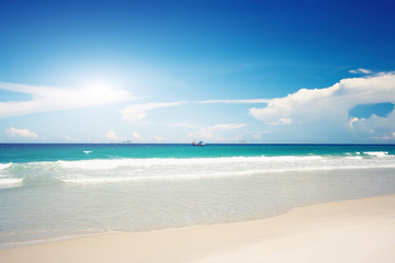 Fototapeta na wymiar Gorgeous sandy tropical beach in sunny day