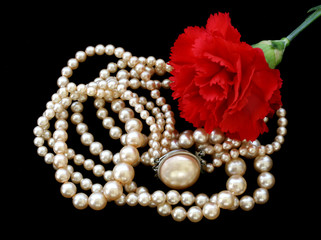 Vintage pink pearls and a red carnation isolated on black