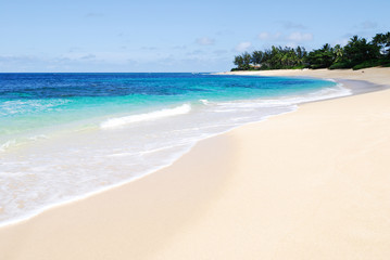 Fototapeta na wymiar Tropical sceny plaży w słoneczny dzień w Oahu, Hawaje