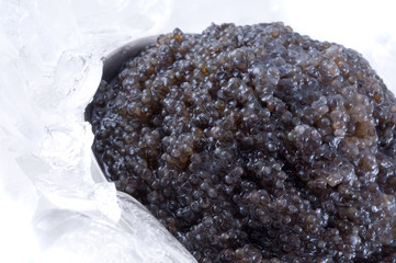 Black caviar in ice