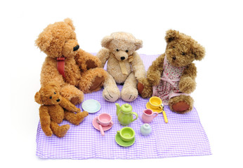 Teddy bears picnic
