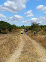 Travellers on a country road