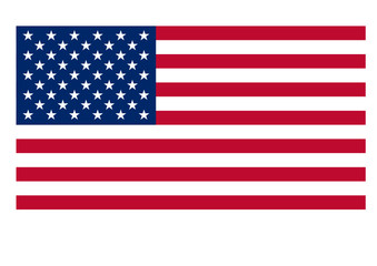 USA flag vector