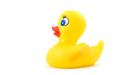 isolated toy rubber duck for playing in the bathroom